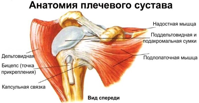 Болезнь плечевого сустава